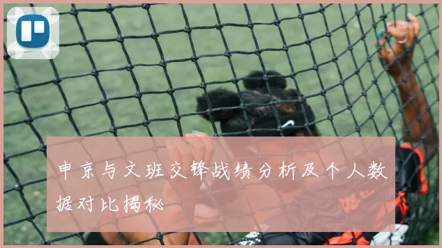 申京与文班交锋战绩分析及个人数据对比揭秘