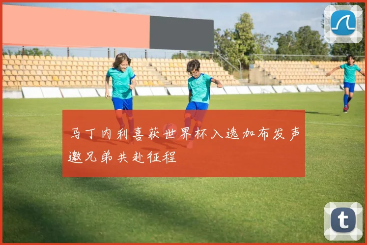 马丁内利喜获世界杯入选加布发声邀兄弟共赴征程